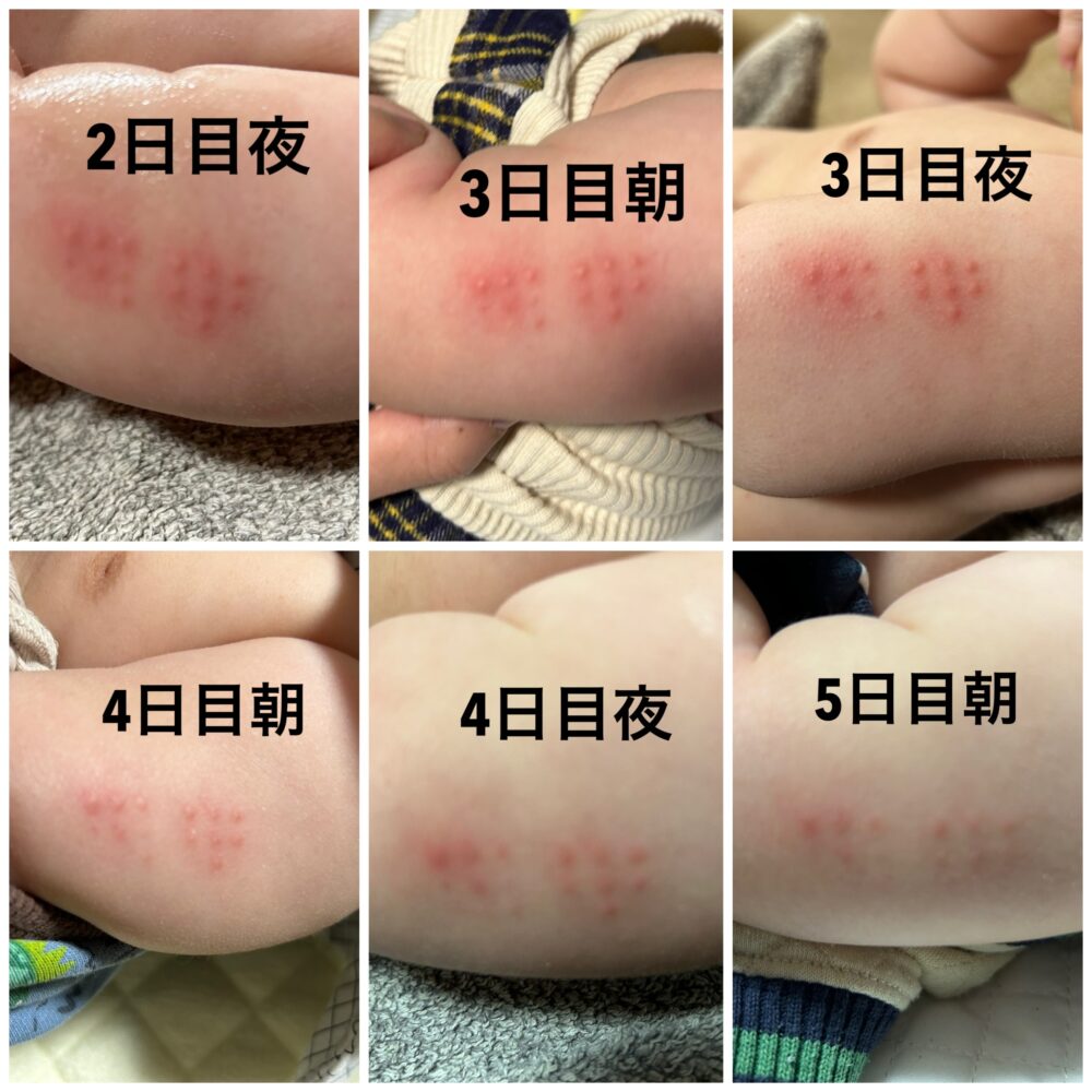 bcg お 風呂